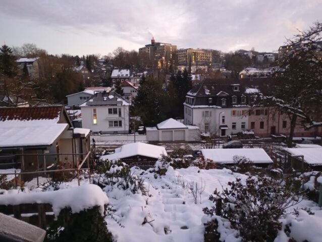 IMG_20250114_080454