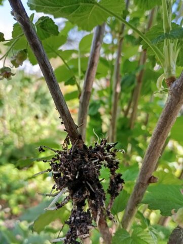 IMG_20260421_155847